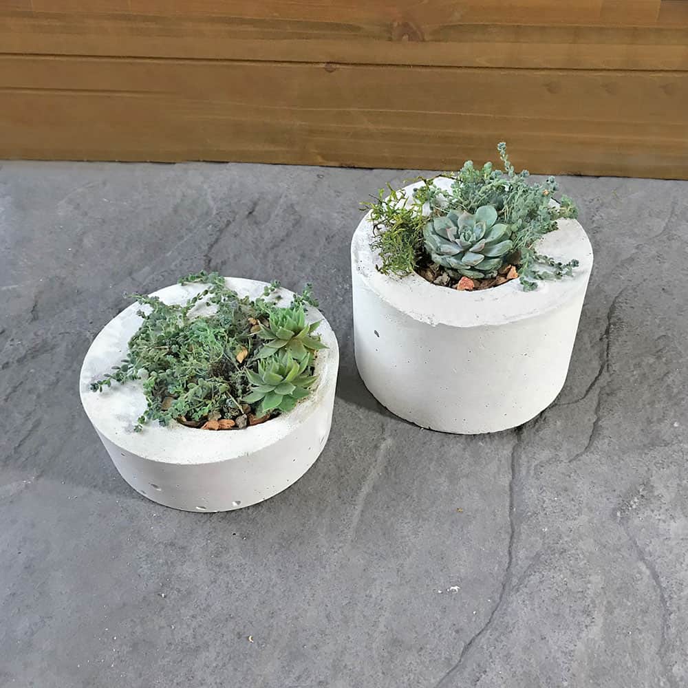modern concrete planters | DIY