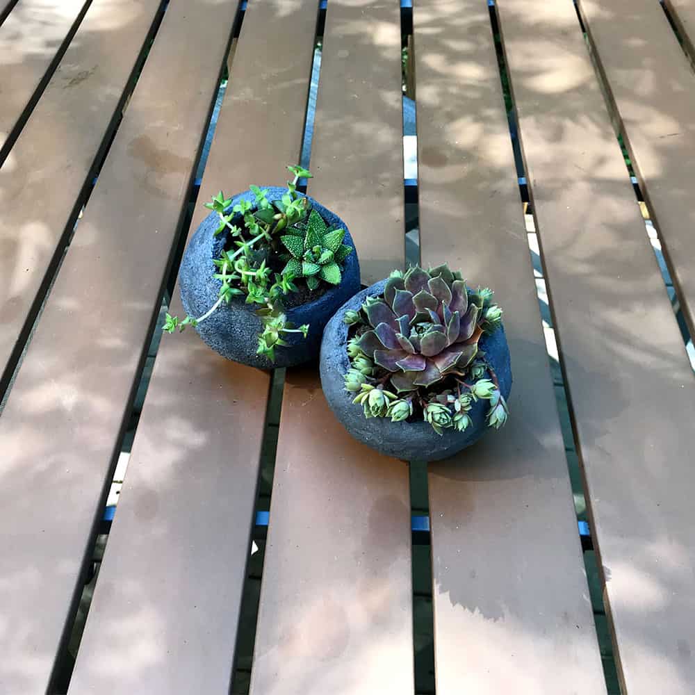 Tutorial | Mini Planters with Cement & Succulents