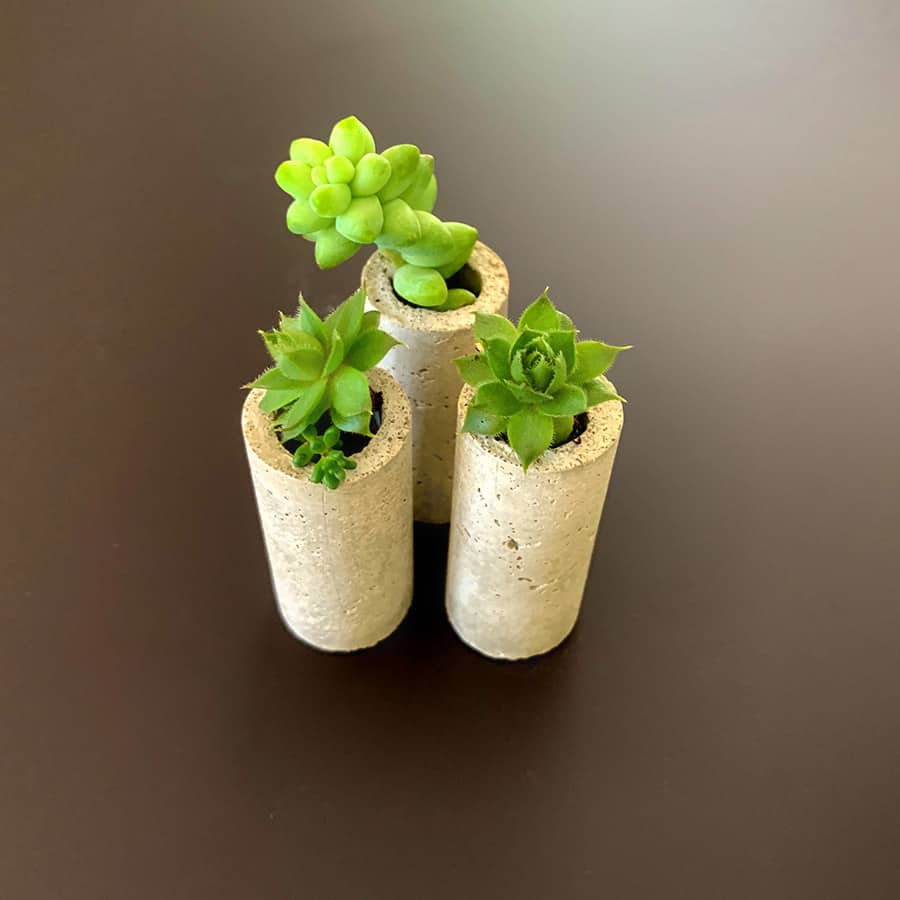 succulents in DIY concrete wine cork planters