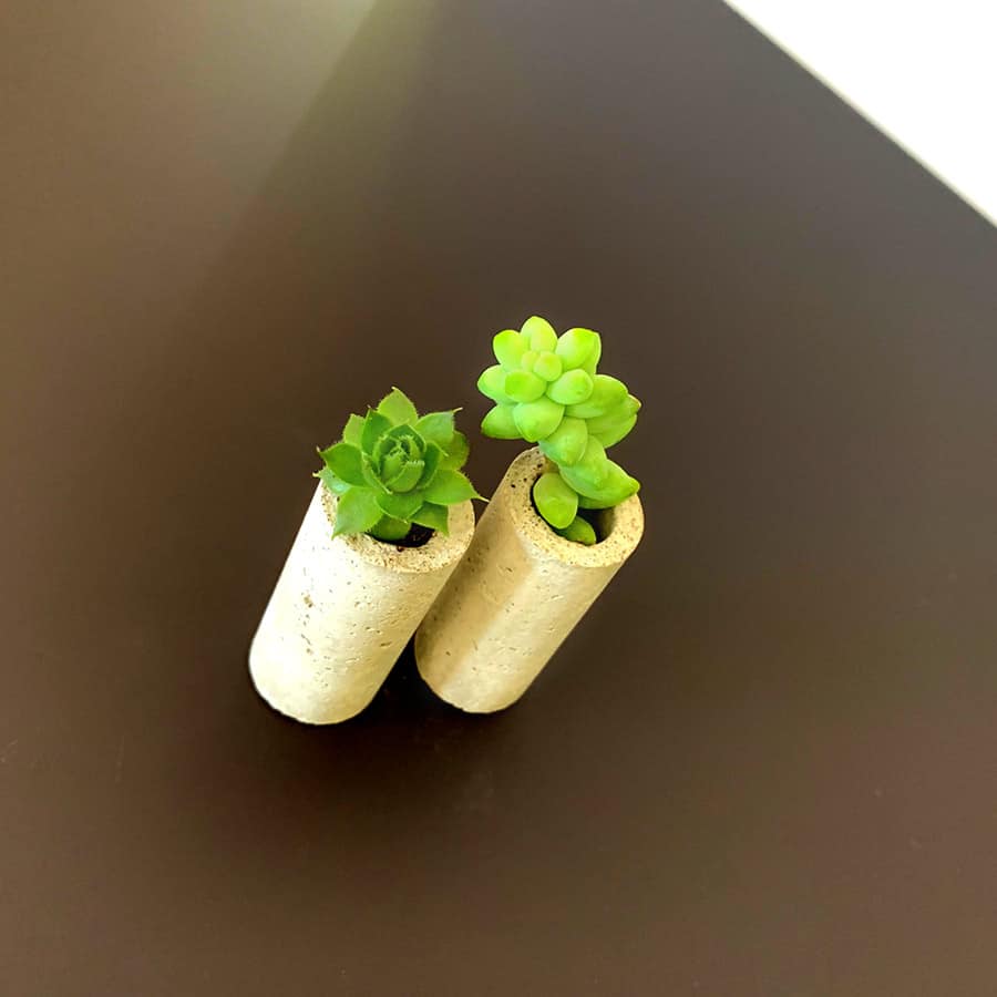 succulents in concrete wine corks