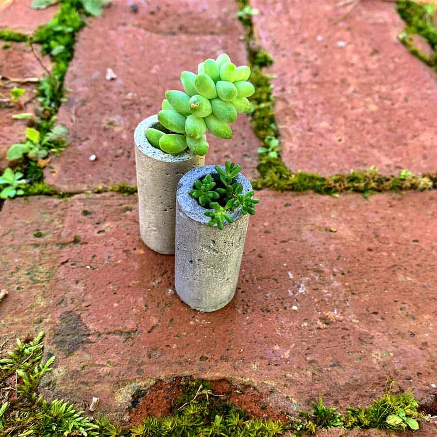succulents planted in DIY concrete wine corks