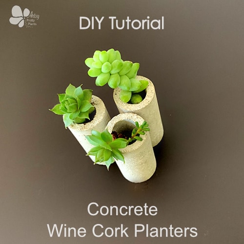 cement wine cork planters
