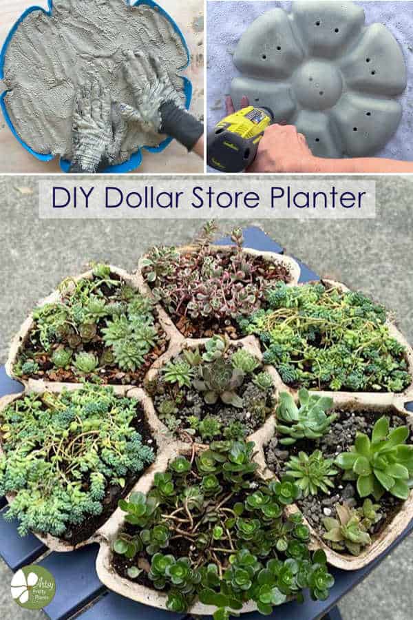 DIy succulent planter made of cement