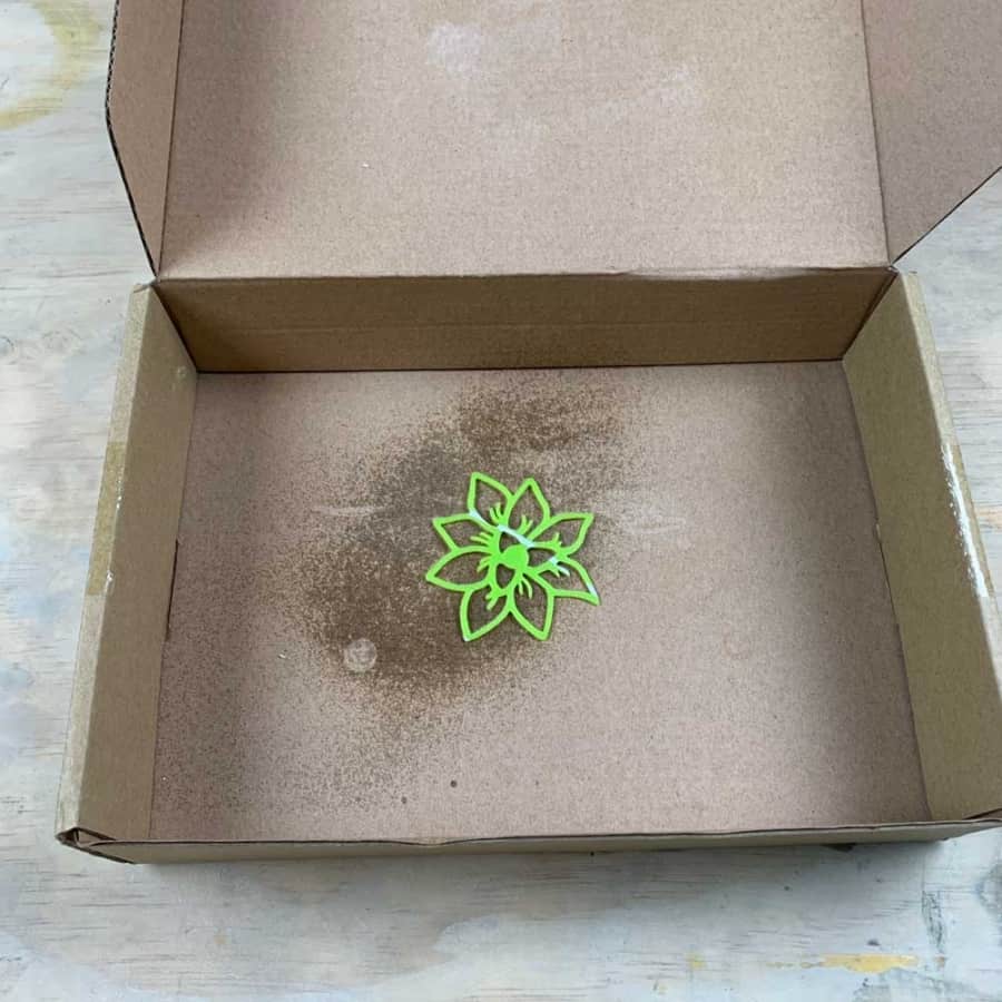 spray adhesive on succulent Cricut design in box