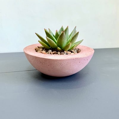 IY Colored Pink Cement Planter
