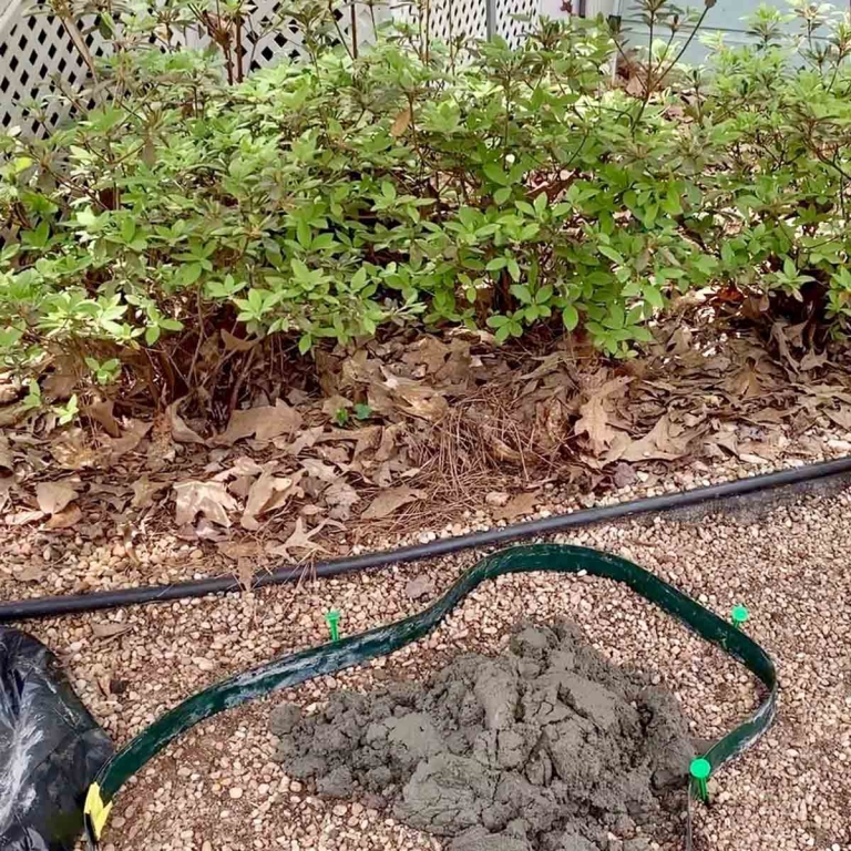 DIY Concrete Stepping Stones (Natural Looking) Artsy Pretty Plants