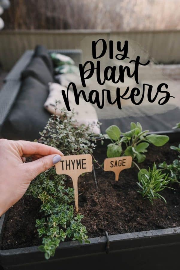 DIY Wooden Plant Markers with Cricut Joy