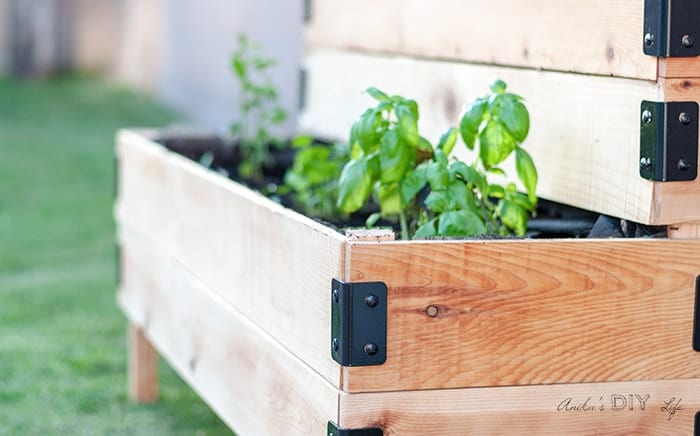 DIY-tiered-Raised-garden-bed-