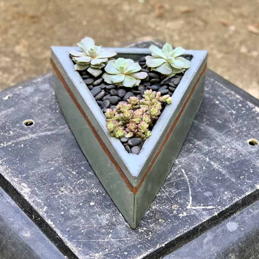 triangular concrete planter with copper line- succulents inside