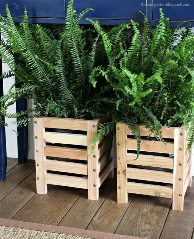cedar scrap wood planter with ferns