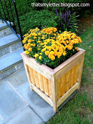 planter box from fencing