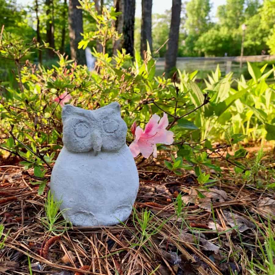 How To Make A Concrete Garden Owl Statue Artsy Pretty Plants