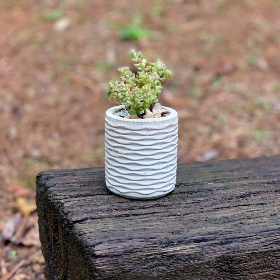 cement planter made from DIY silicone mold on railroad tie