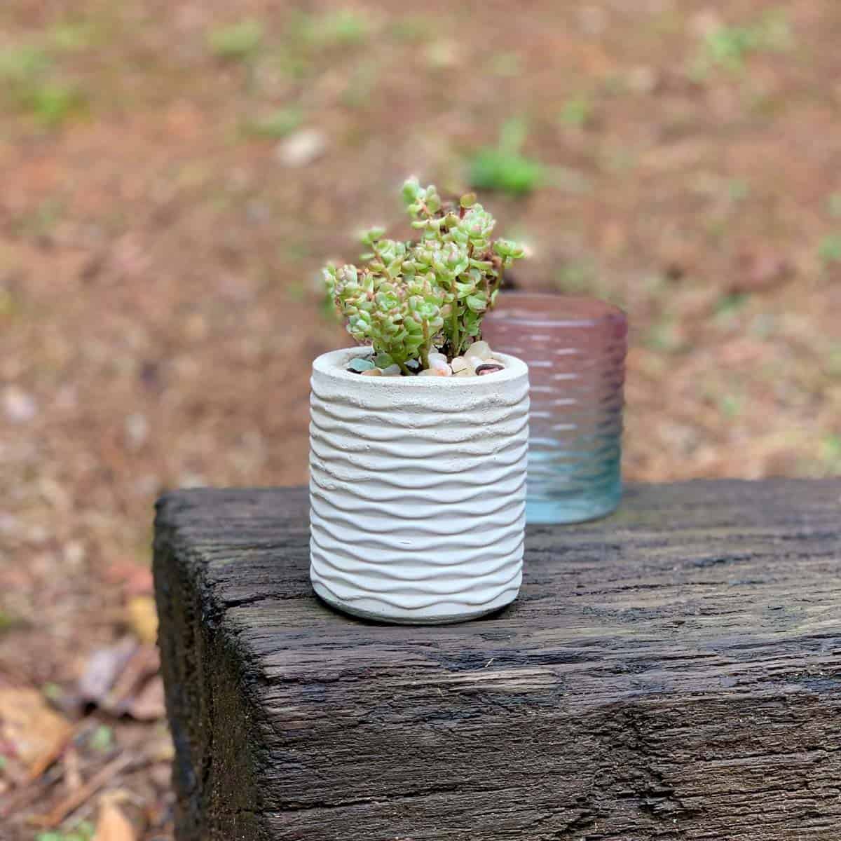make-a-silicone-mold-to-cast-a-cement-planter-artsy-pretty-plants