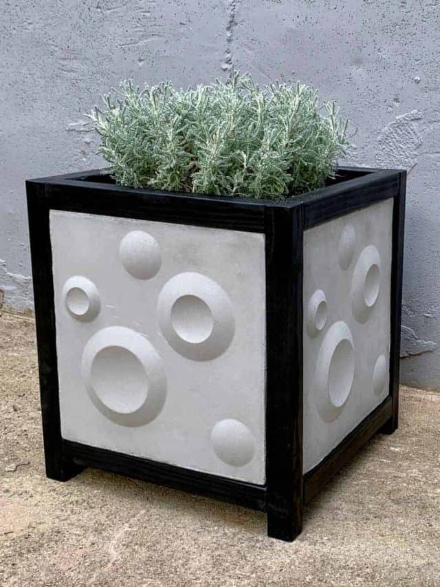 modern black and grey 3d cement tile planter box with silvery gray plant inside