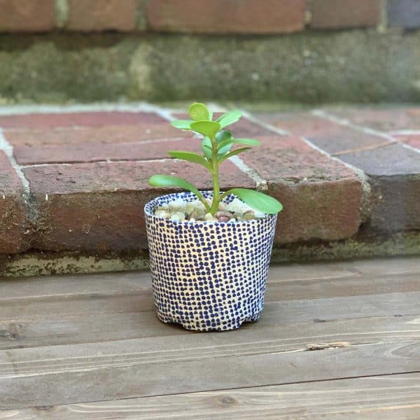 Transform a Plastic Plant Pot (Into a Durable Planter!) Artsy Pretty