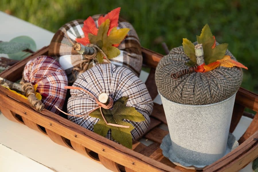 pumpkins wrapped in plaid fabric in a tray