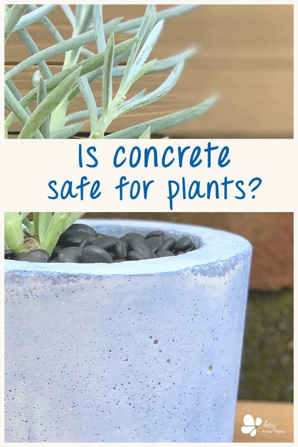 Concrete Planters Safe For Plants