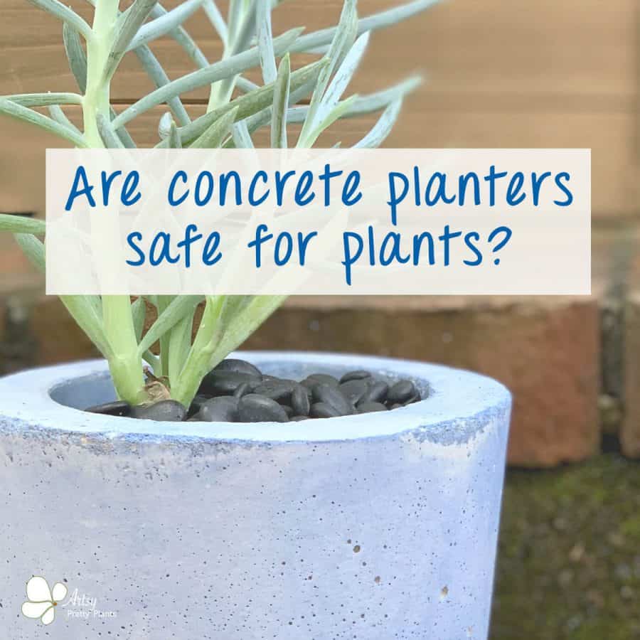 Concrete Planters Safe For Plants