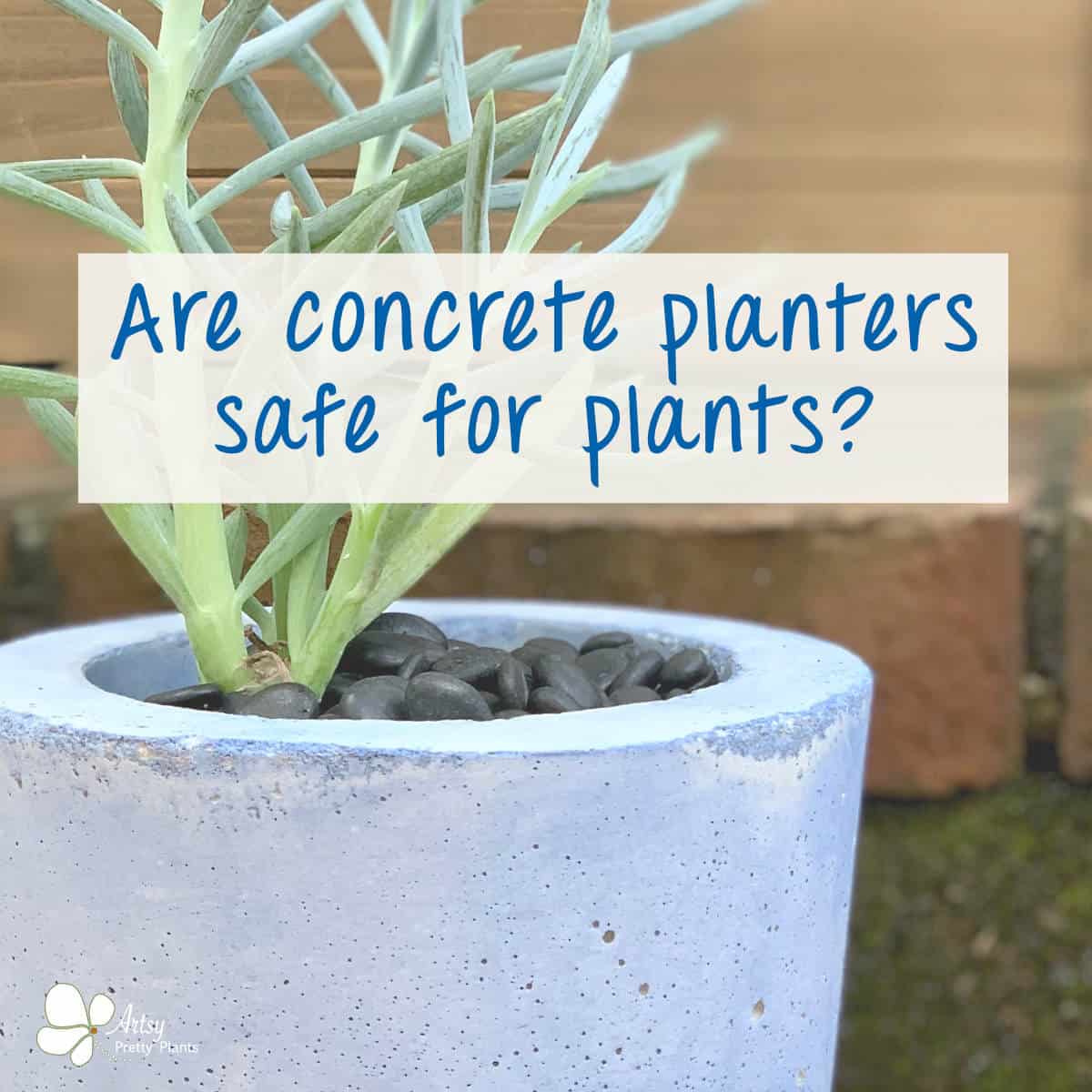 Are Concrete Planters Safe For Plants?