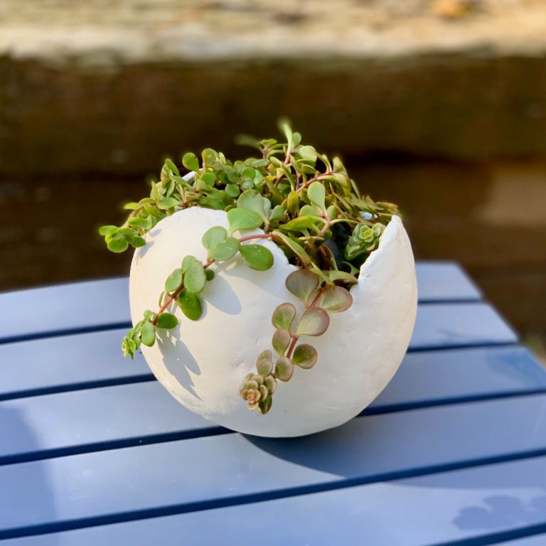 clay balloon planter on a blue table with crawling succulents