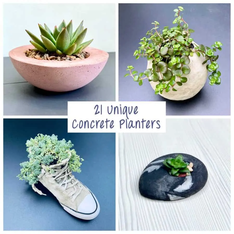 21 Unique DIY Concrete Planters To Make