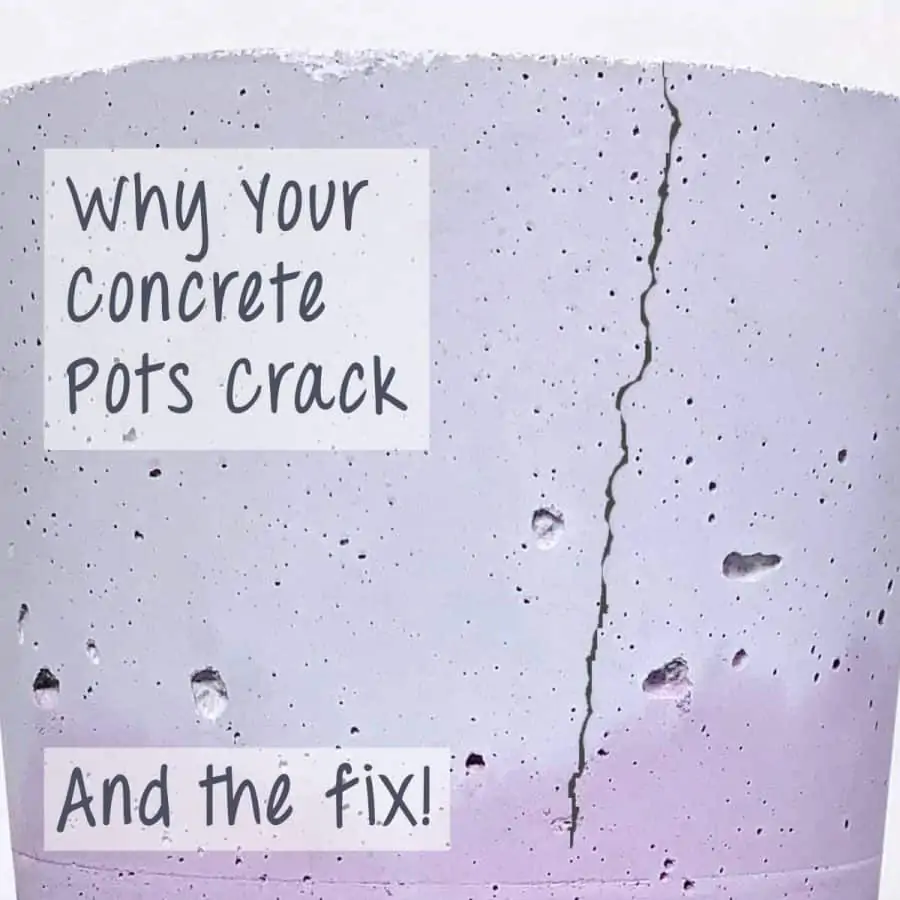 cracked concrete pot