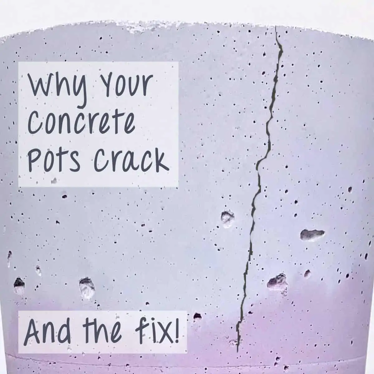 Why Your Concrete Pots Crack -And The Fix
