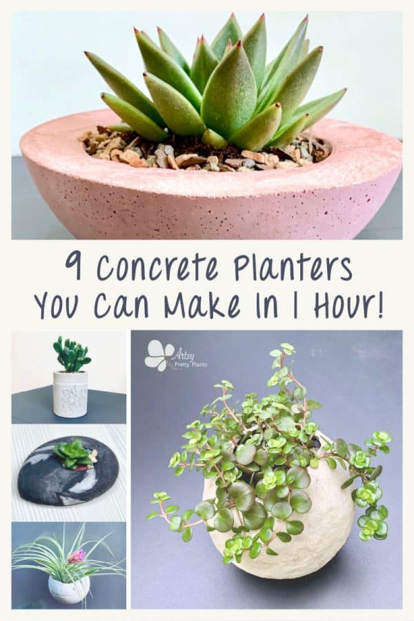 multiple pretty, DIY cement planters