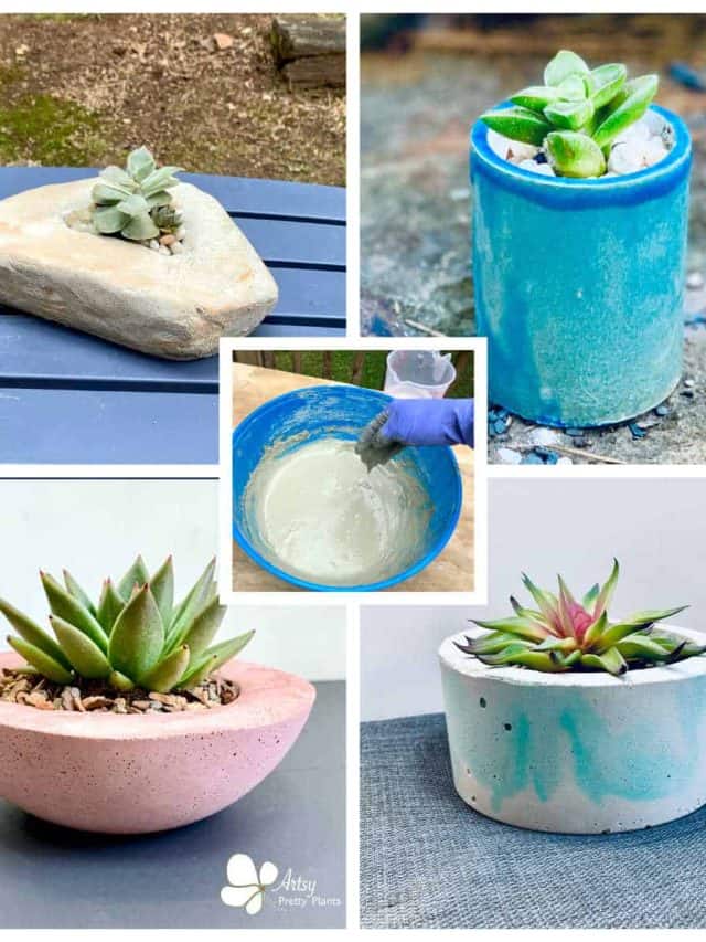 How To Make Concrete Planters: The Ultimate Guide Story