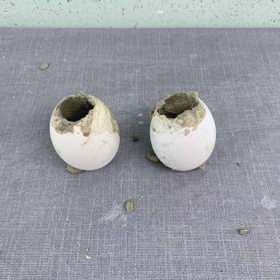 eggshells with messy concrete in and on them