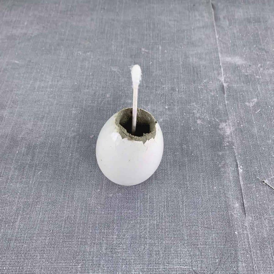 tip pressing drainage hole in cement for concrete eggshell planter to drain