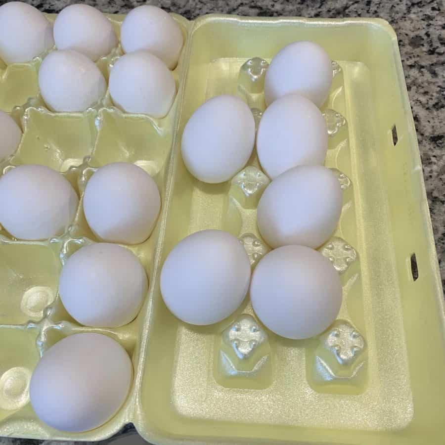 6 nice eggs chosen from egg carton that are smooth on outside for concrete eggshell planters