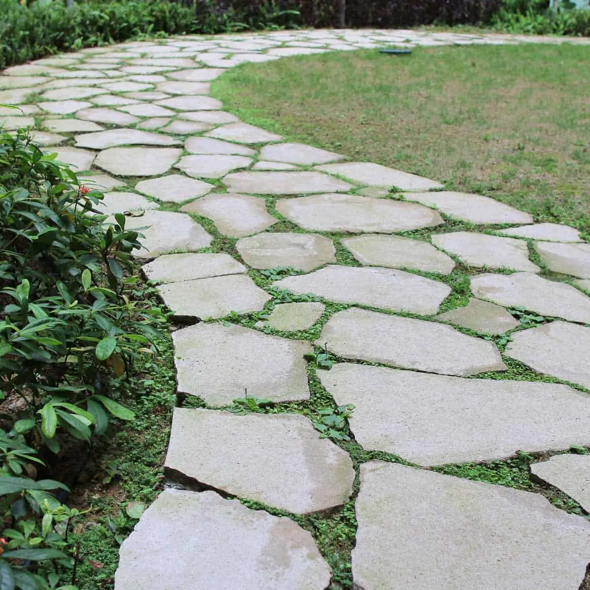 stone slabs in grass