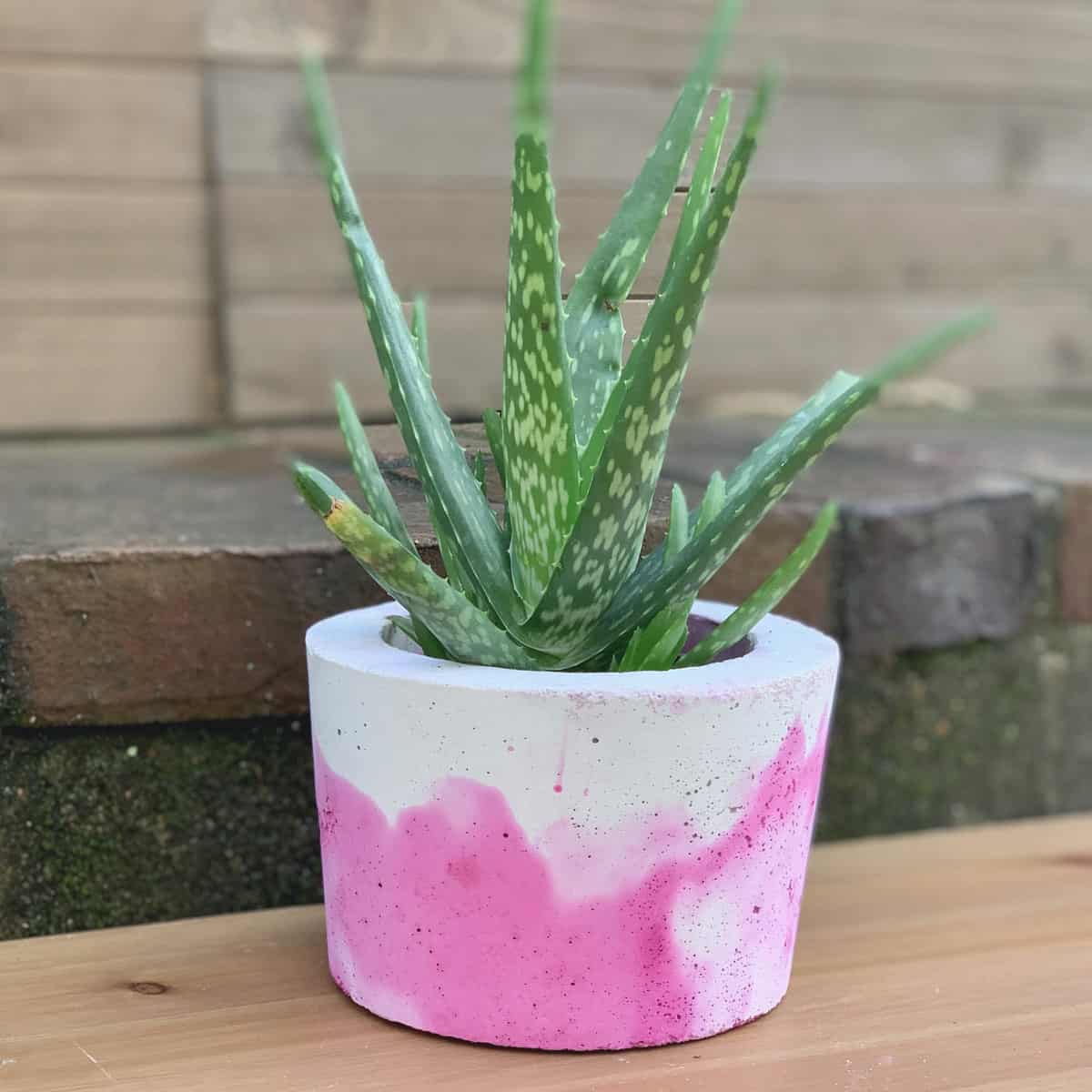 Vibrant Dyed Concrete Planter (DIY Step by Step)