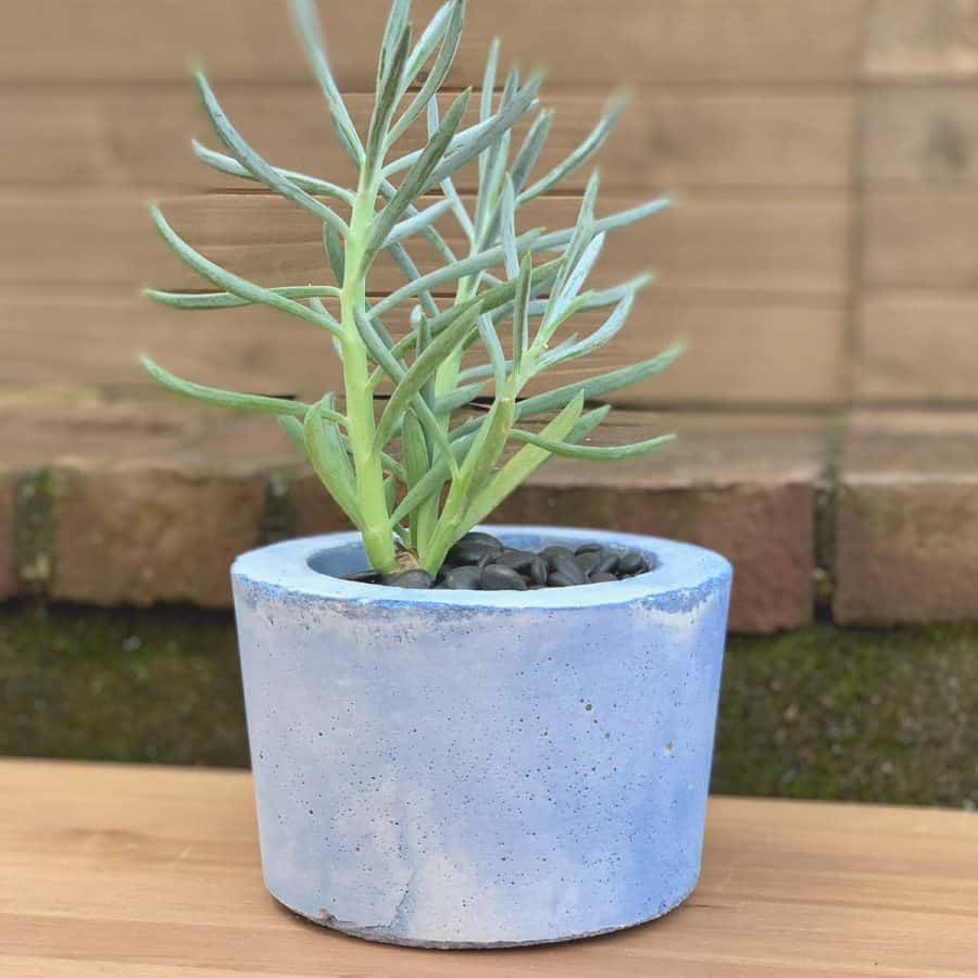 stained diy concrete planter