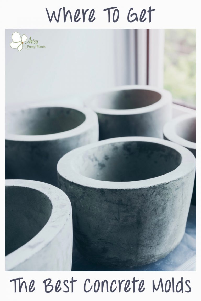 The Best Concrete Molds: Buying Tips - Artsy Pretty Plants