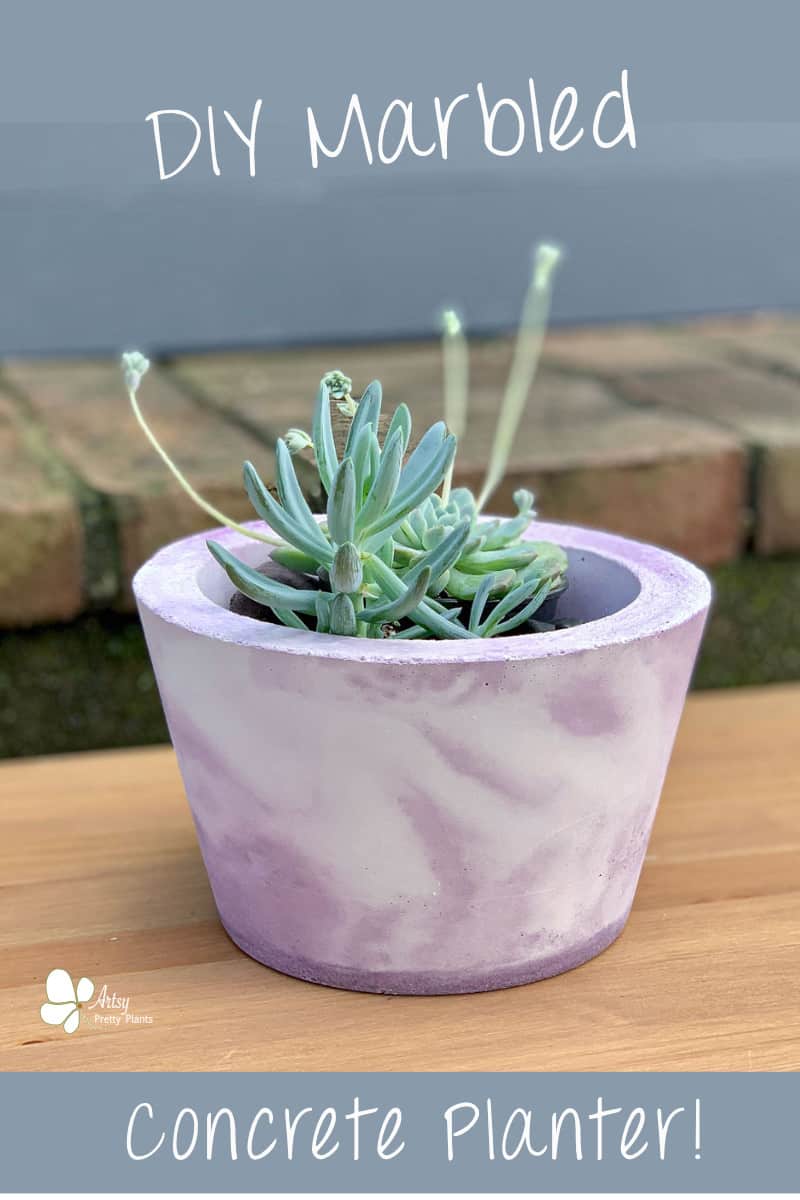 Make A Dyed Cement Planter For Cheap | Artsy Pretty Plants