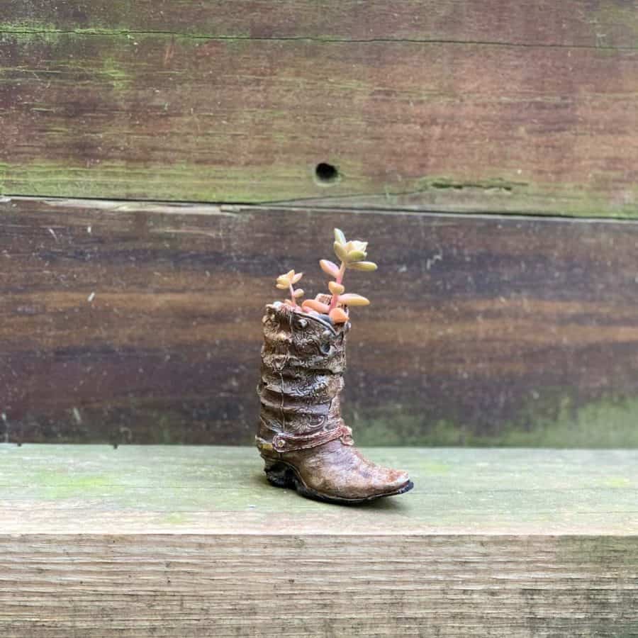 brown concrete mini boot with succulents planted inside