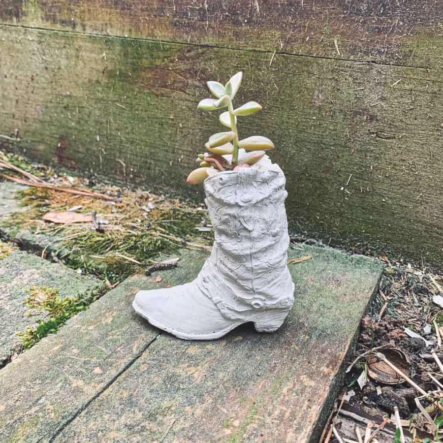 DIY mini cowboy boot planter made from a DIY latex mold. Succulent planted inside.