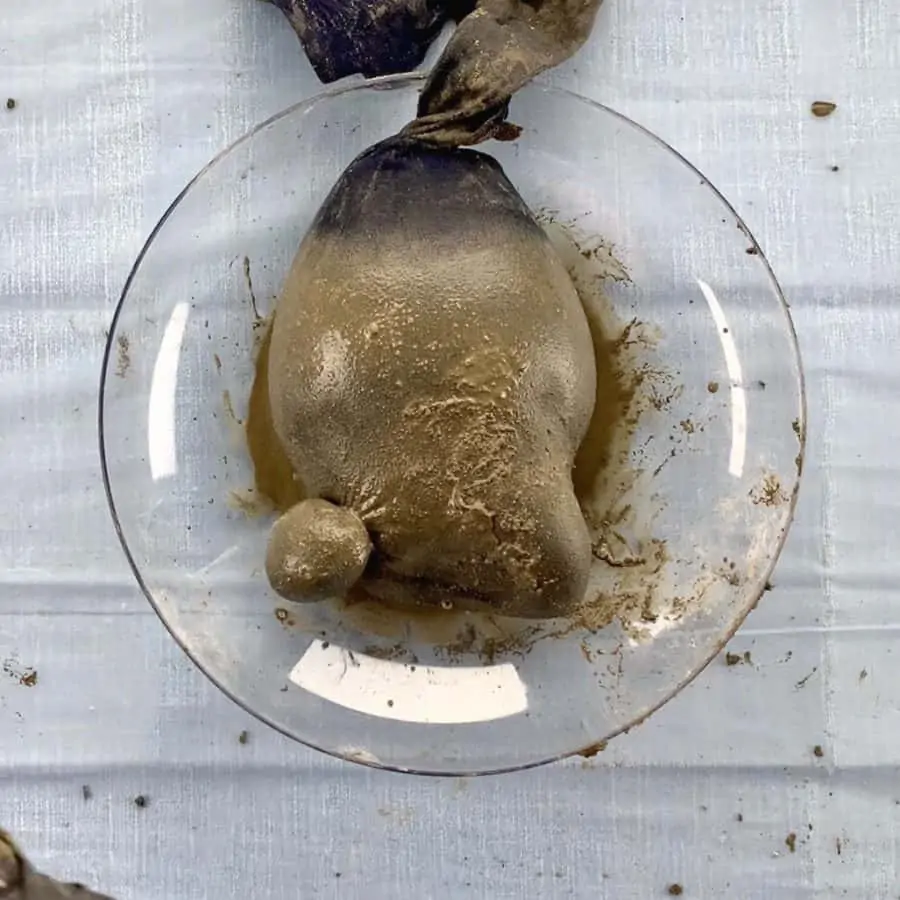 body of gnome in bowl, left foot is tied off in ball shape