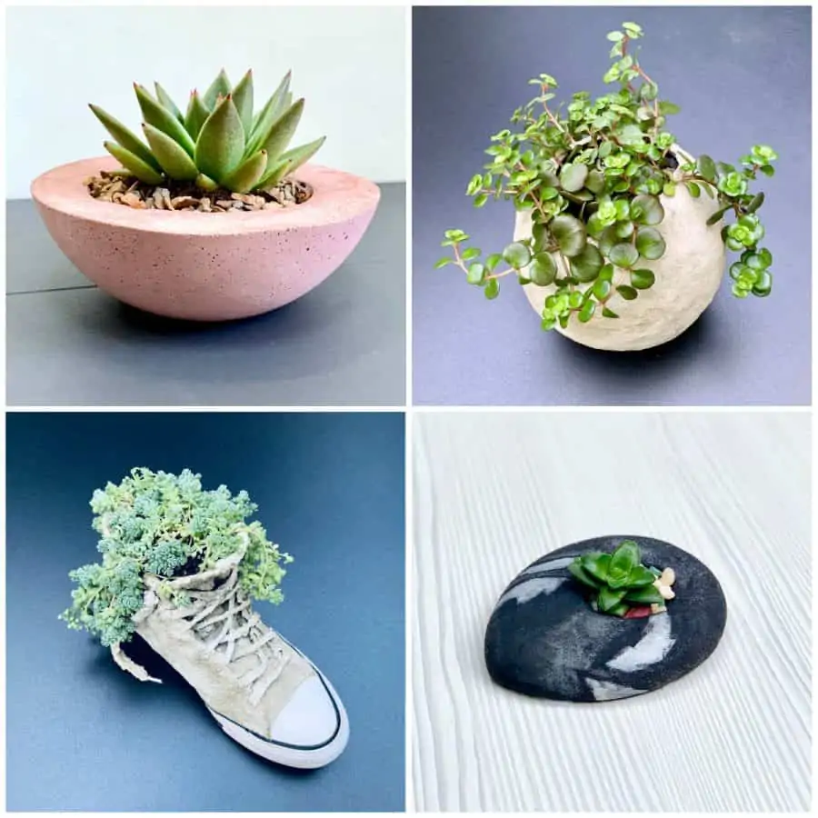 cement vs concrete-4 concrete planters with potted plants