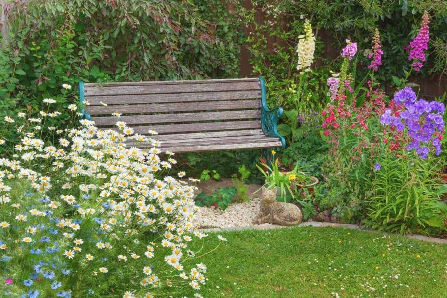 design a native plant garden- wooden bench in middle of native plant garden as focal point