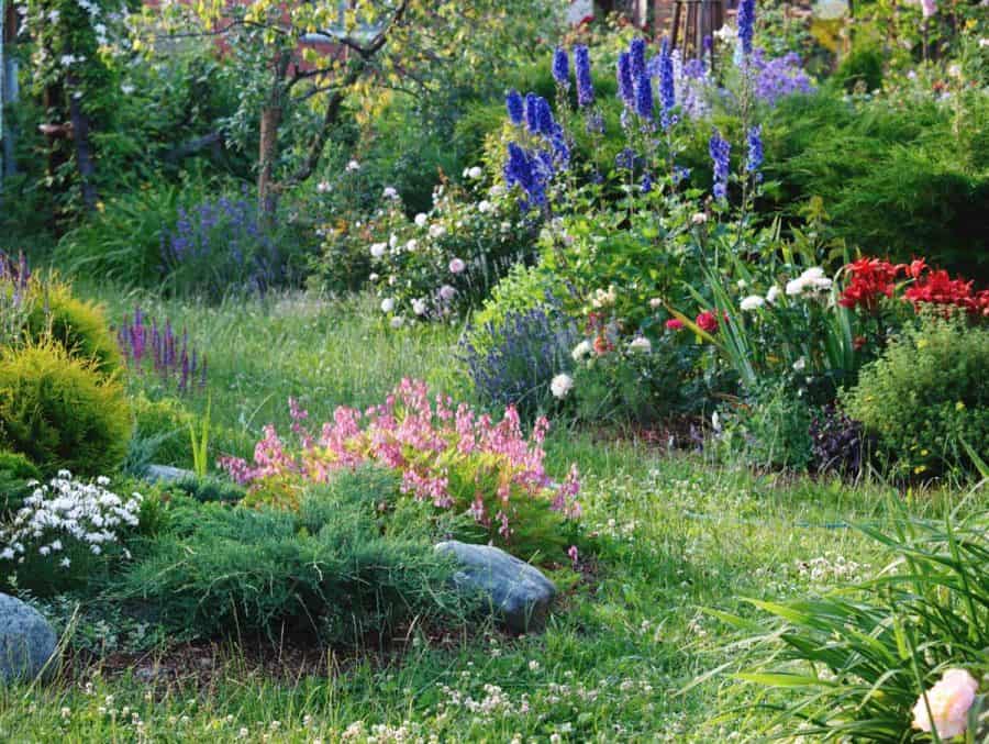 design a native plant garden- garden path with shrubs, ground cover, and flowers, all varying scale and textures