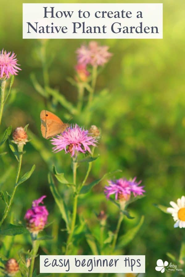 design a native plant garden- pollinator garden with butterfly on flower