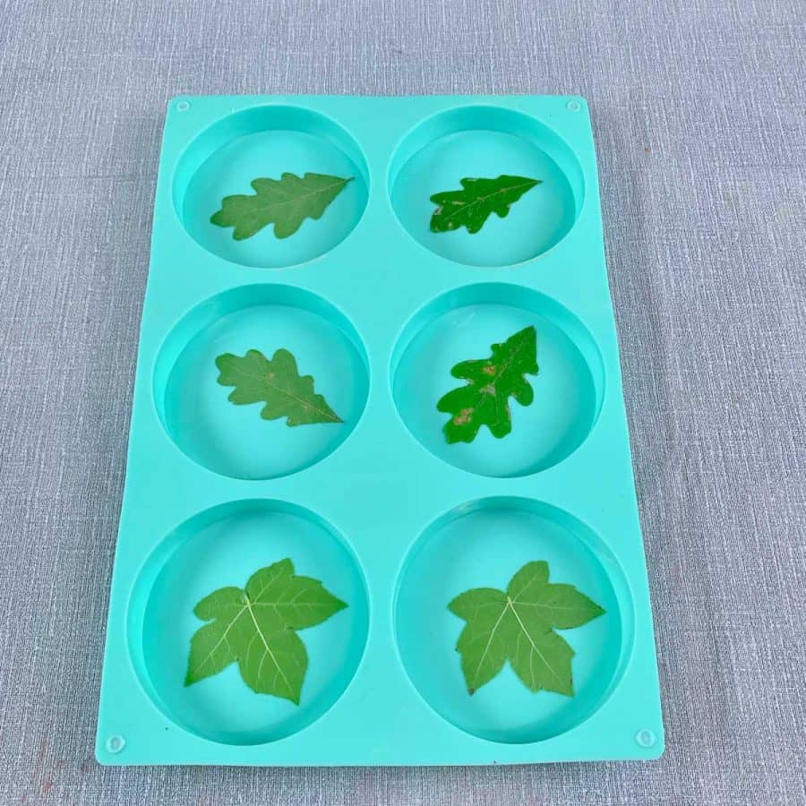 Concrete Coasters- silicone mold with a leaf inside of each cavity, smooth against bottom.