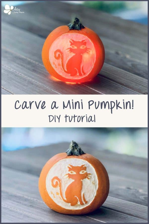 Mini Pumpkin Carving Of A Cat