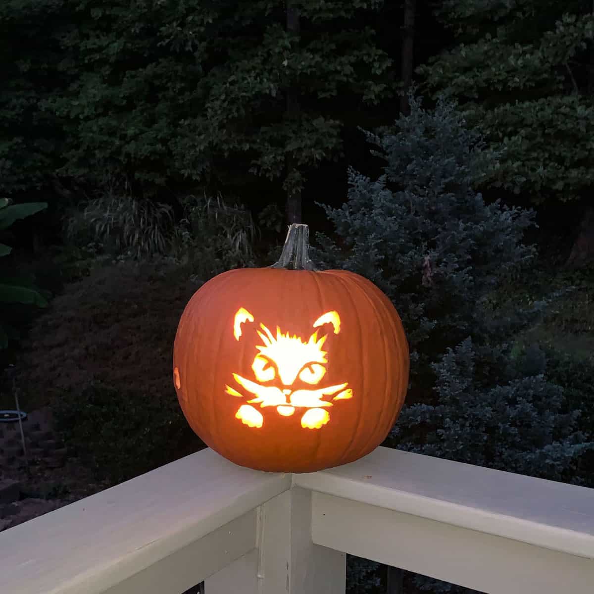carved face of cat jack o lantern lit with candle on porch railing