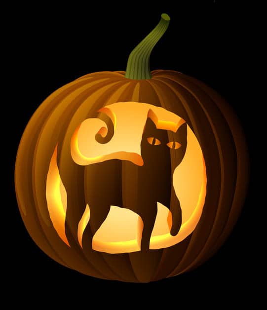 halloween cat pumpkin stencils
