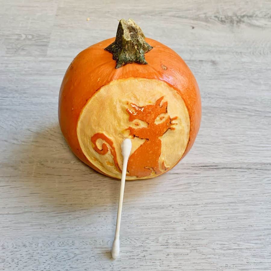mini carved pumpkin of cat with tip laying against it